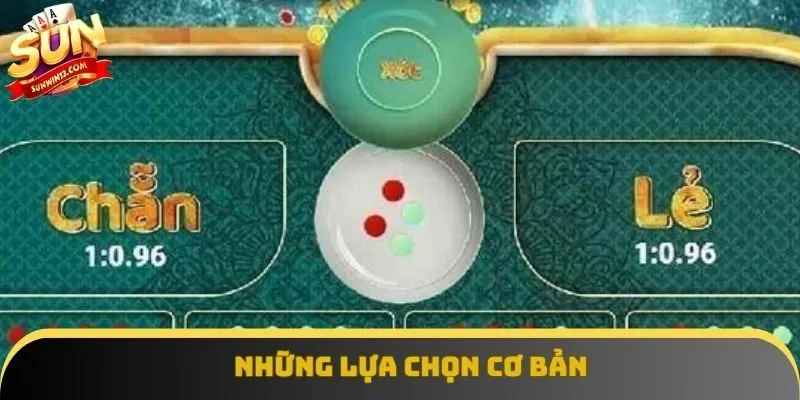 Những lựa chọn cơ bản Những lựa chọn cơ bản
